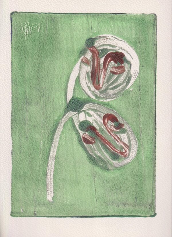 'Untitled'