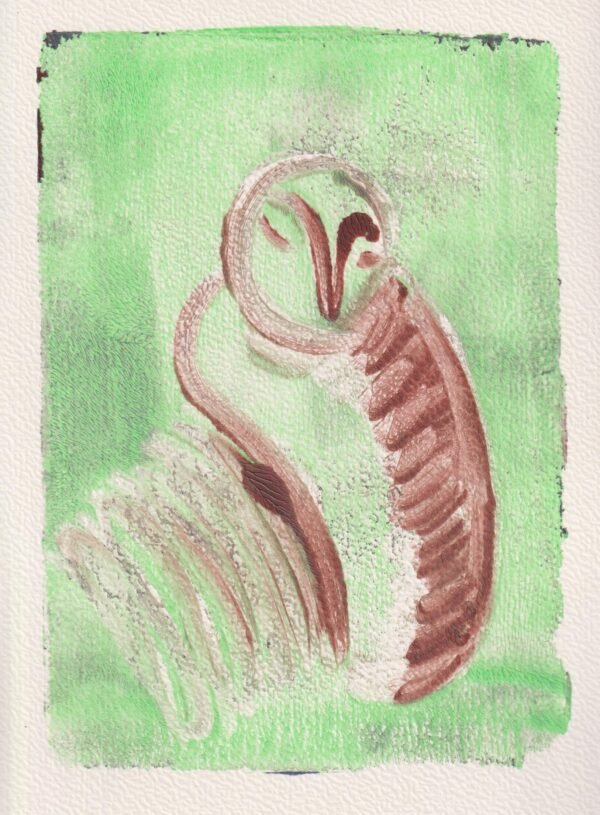 Shell