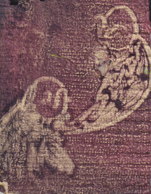 'Owls'